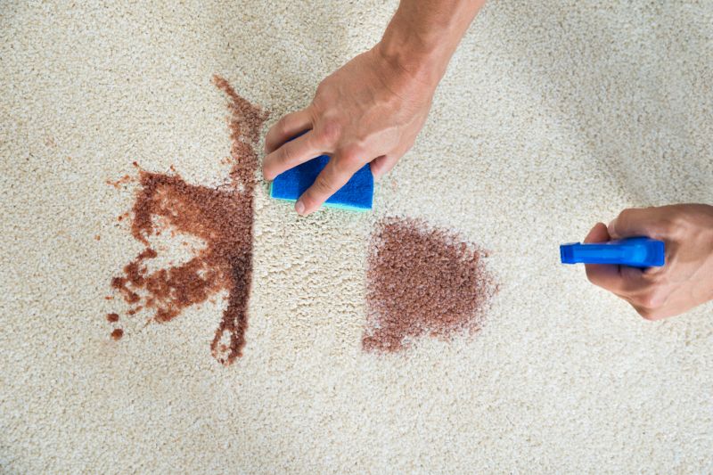 Carpet Protection Treatments