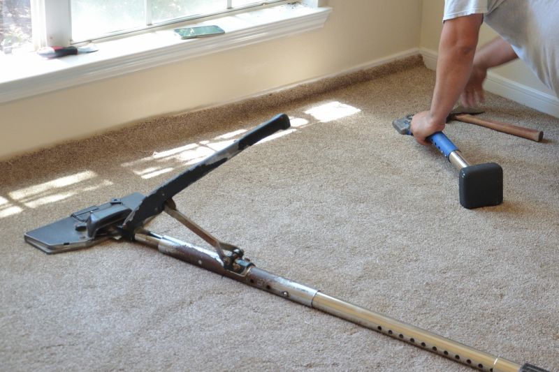 Carpet Service